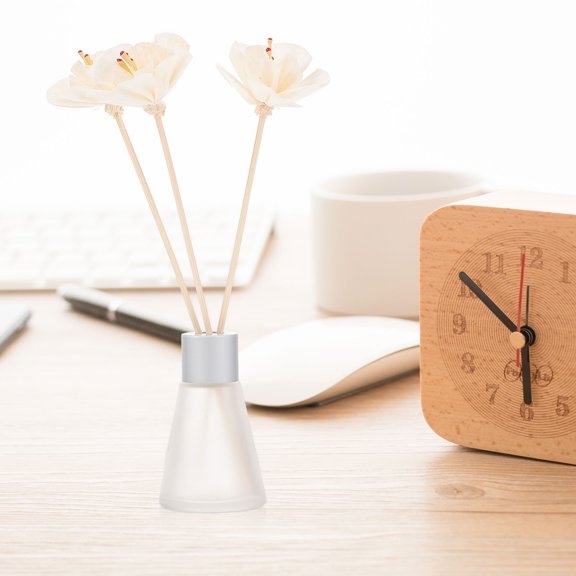 HOMEMAXS 3 Pcs White Synthetic Material Aroma Diffuser for Decoration Use Essential Oil Stick Supplies