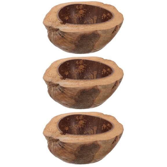 IFANLANDOR 3Pcs Round Coconut Shell Bowl for Home Use and Decoration