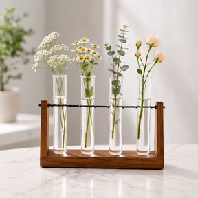 HAMPPLIES Propogation Planter Tube Glass Vase 4pcs For Hydroponic Planting
