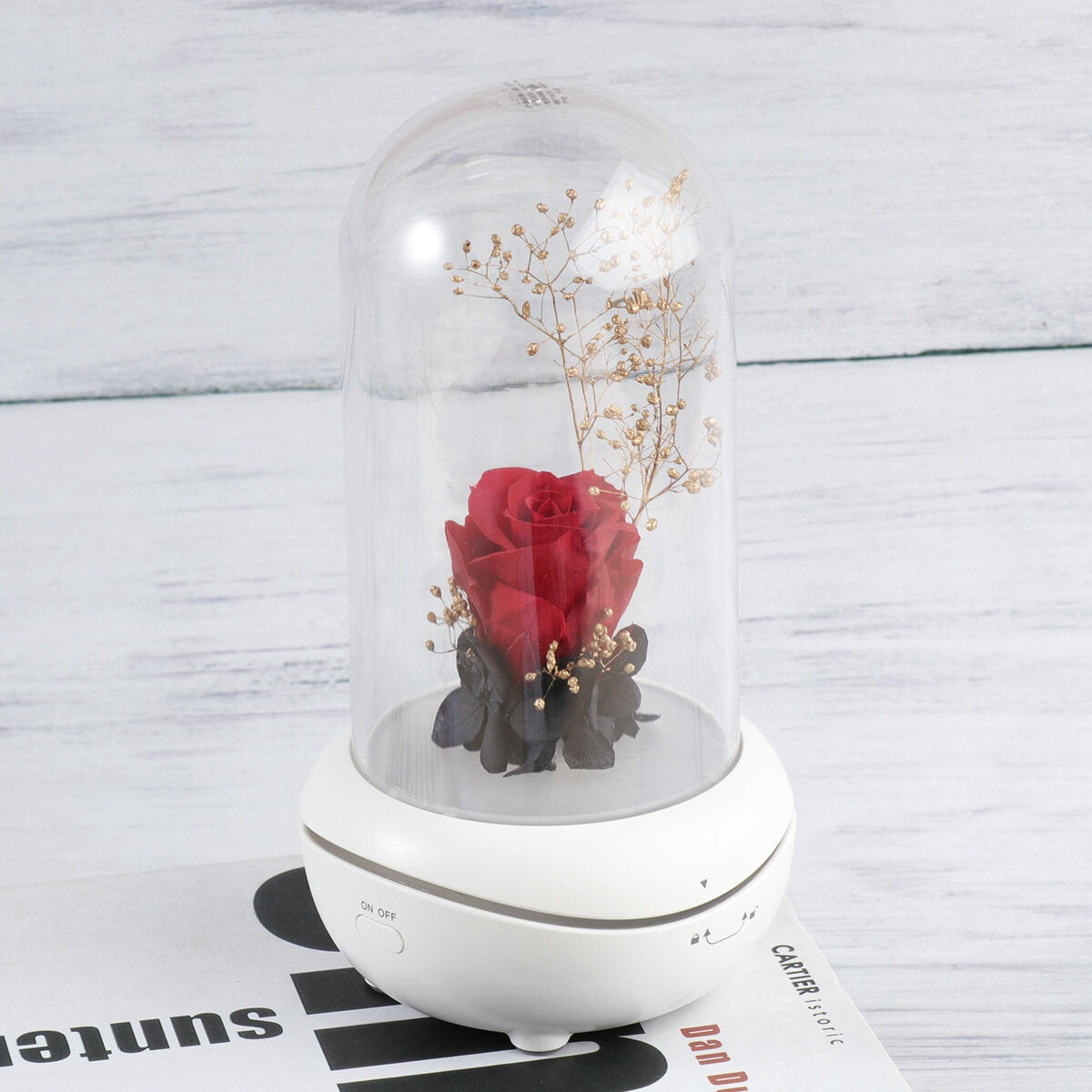 HOMEMAXS Air Diffuser Diffusers for Home Preserved Flower Red Rose ...