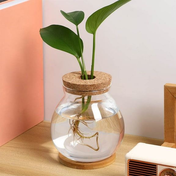 Betta Fish Terrarium Desktop Aquarium for Office Transparent