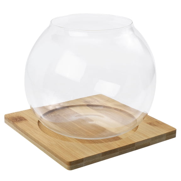 Candle Containers Air Plants Small Fish Tank Growing Succulents