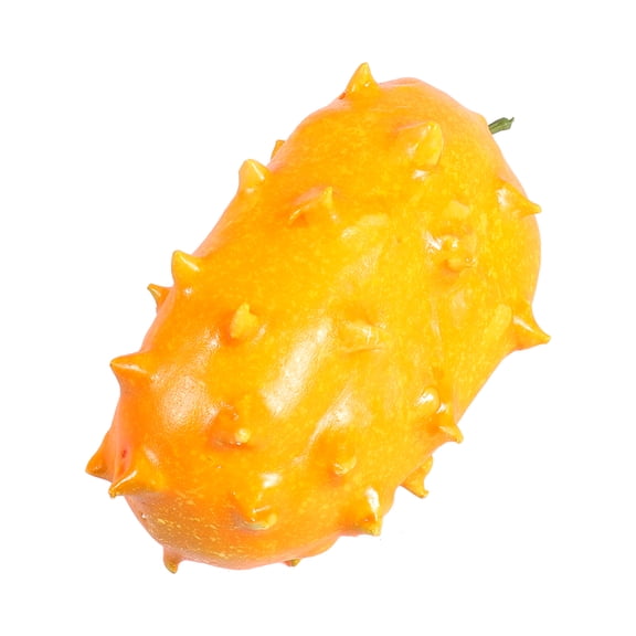 Citrus Decor Home Decoration Office Decoration 14X7cm Orange