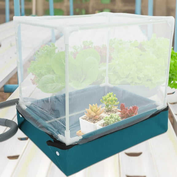 HOMEMAXS Compact Succulent Greenhouse Indoor Plant Showcase Mini Plant Container Succulent Greenhouse System Tabletop Plant Conservatory