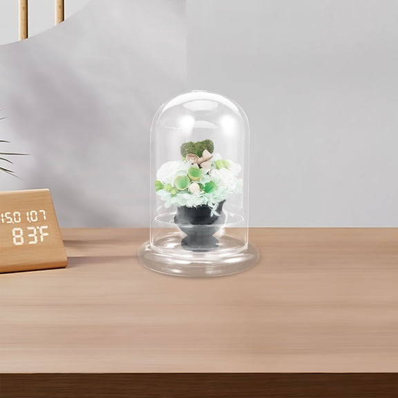 Creative Clear Flower Vase Glass Terrarium Jar for DIY Moss Landscape Reusable Vase for Home Decor Office Desk Tabletop Aquarium Tank