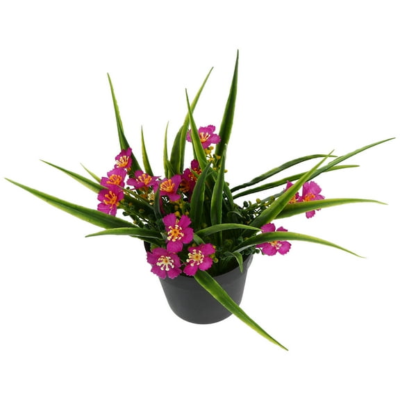 Decoration Simulated Clivia Potted Plant Decorative Effect Lifelike