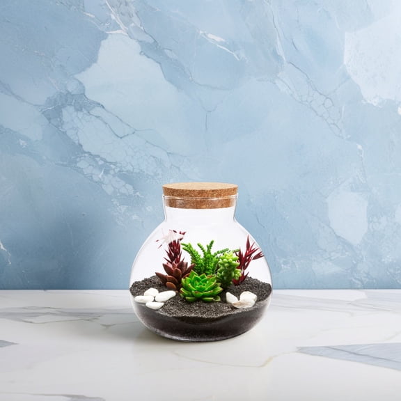 HOMEMAXS Decorative Cylinder Container Jar Eco Bottle Micro-landscape Plants Baby 14X15CM