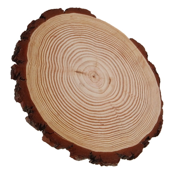 HOMEMAXS Beige Wooden Stepping Stones for Decor Durable and Cost Effective Garden Walkway stones