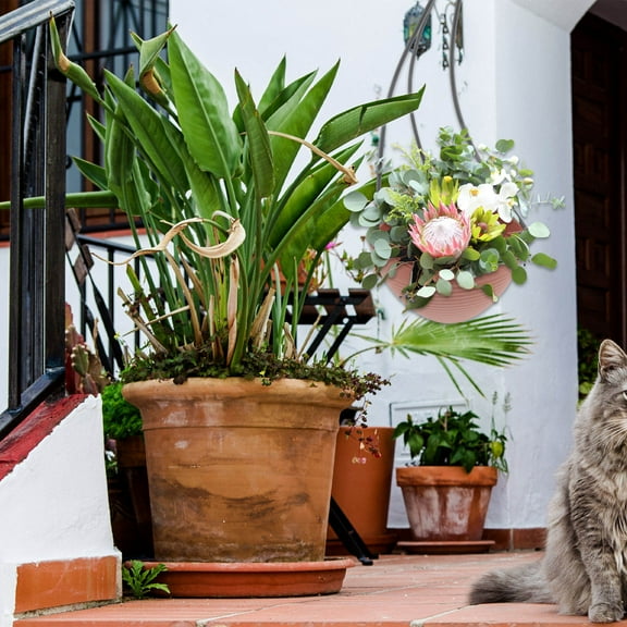 HOMEMAXS Hanging Flower Pot with Resin Material for Storage Brown Color Suitable for Home Balcony 6.5 Inches