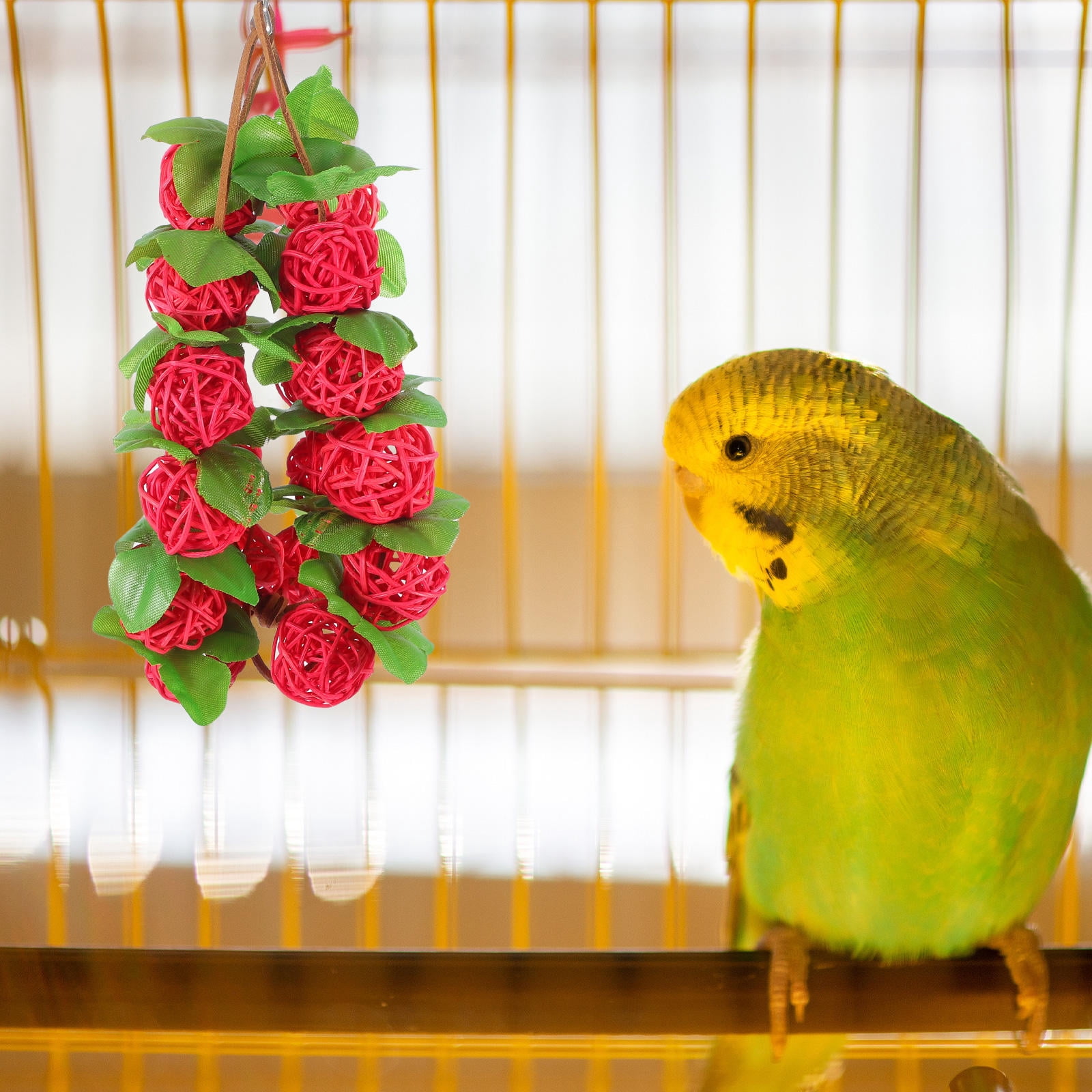 Gallery Detail: Hanging Rattan Ball Toy For Birds Made Of Plastic Red