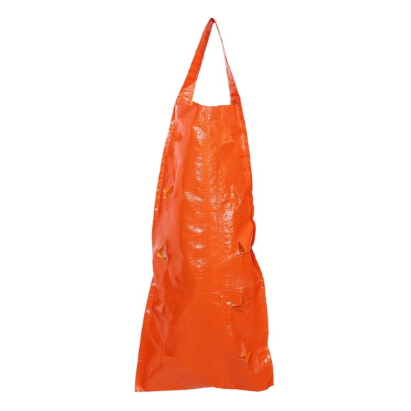 Hanging Strawberry Bag Debris Bare Strawberries Shopping Orange