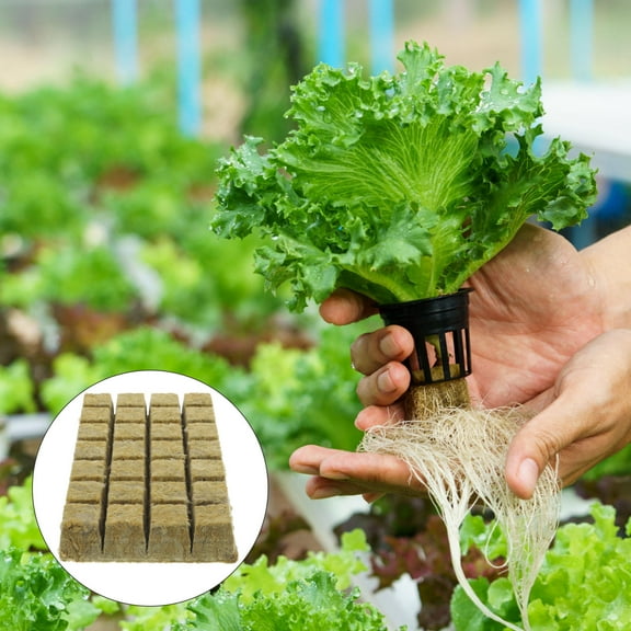 HOMEMAXS Hydroponic Starter Cubes for Planting Mineral Wool Nursery Soil Blocks for Better Growth 1 Set
