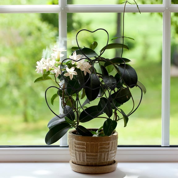 HOMEMAXS Metal Garden Trellis Plant Support Frame for Climbing Vines, Flowers, and Vegetables - Climbing Plant Holder