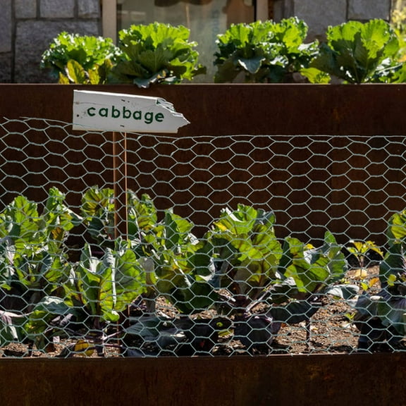 HOMEMAXS Netting for Chicken Coop Galvanized Garden Kiss Weaving Baby