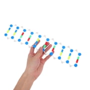 DNA Double Helix Educational Model for Biology Experiments, Science Class Practical Tool for Structure and Variation Learning