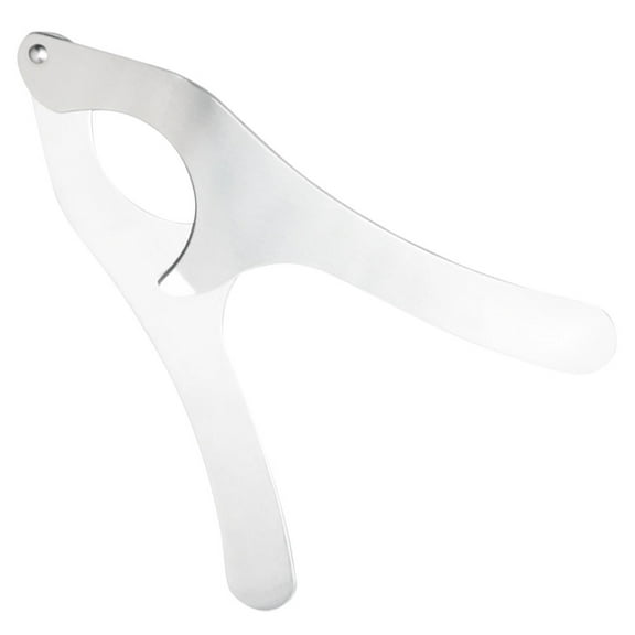 HOMEMAXS Seafood Skinner Stainless Steel Sea Urchin 23.00X11.00X0.50CM Silver