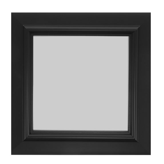 HOMEMAXS Small Display Frame Dried Flower Frames Clear for Pressed ...