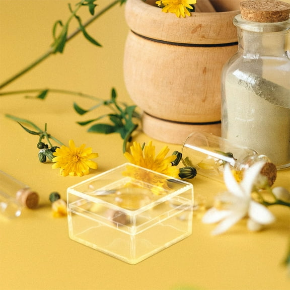 VERDANVERSE Clear Jewelry Storage Box Mini Acrylic Display Case Plastic 30Pcs