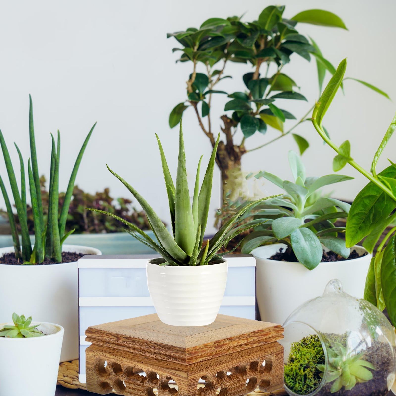 HOMEMAXS Square Wooden Base Crafts Adornment Display Stand Planter ...