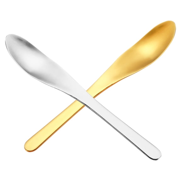 2Pcs Stainless Steel Spoon for Fruit and Vegetable with Long Handle Curved Tip Dessert Spoon Multi Purpose