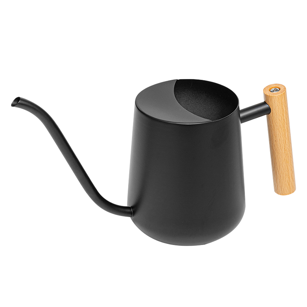 HOMEMAXS  Watering Can Indoor Plants Stainless Steel Kettle
