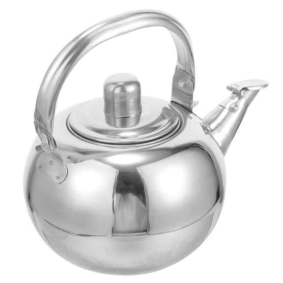 Minkissy Tea Pot 1Set Stainless Steel Silver for