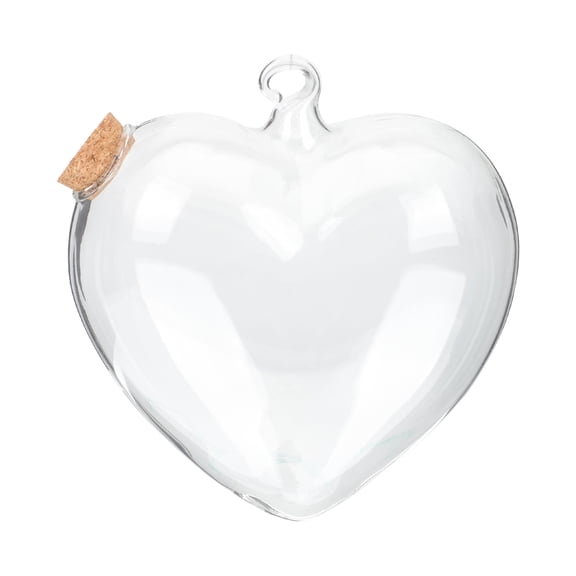 WEUVEB Message Wishing Bottle Transparent Glass 1Pack for Wedding