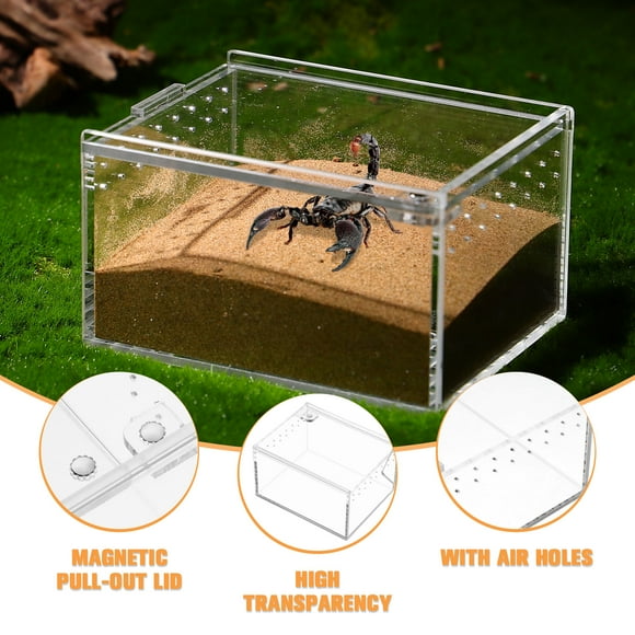 HOMEMAXS Vivarium Terrarium Spider Feeding Tarantula Enclosure Baby Travel