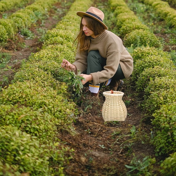 IFANLANDOR Woven Tea Basket Assorted Color 1Set 5.50X4.72X3.93in