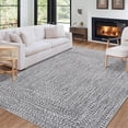thumbnail image 1 of HOMERRY 3' x 5' Modern Area Rug for Living Room Braided Print Indoor Washable Neutral Carpet, Gray, 1 of 5