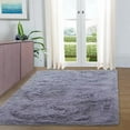 thumbnail image 1 of HOMERRY 5ft x 8ft Shaggy Area Rugs for Bedroom Living Room Fluffy Rug Plush Decorative Rug for Indoor Home Floor Carpet, Gray, 1 of 6