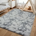 thumbnail image 1 of HOMERRY 6ft x 9ft Shaggy Area Rugs for Bedroom Living Room, Fluffy Rug Plush Decorative Rug for Indoor Home Floor Carpet, Light Gray, 1 of 7