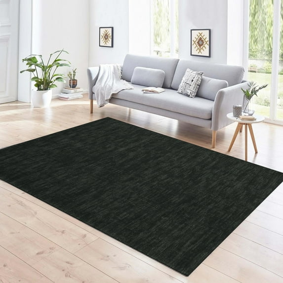 HOMERRY Washable 3' x 5' Area Rug for Living Room Modern Black Solid Pattern Indoor Carpet