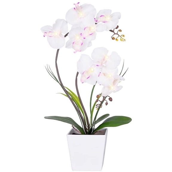 HOMESEASONS Orchid Lamp-LED Lighted Orchid Arrangements,Pre Lit Artificial Orchid,Light Up Flower Lights, Faux Orchid Phalaenopsis Arrangement (White)