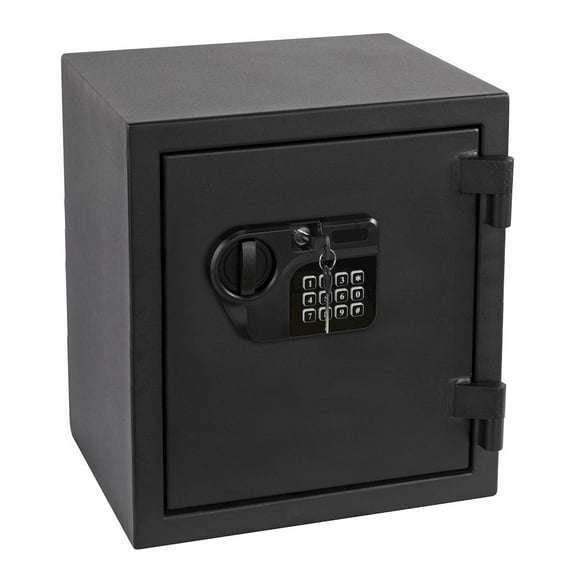 American Furniture Classics Homesecure Fireproof Personal Document and Firearm Safe