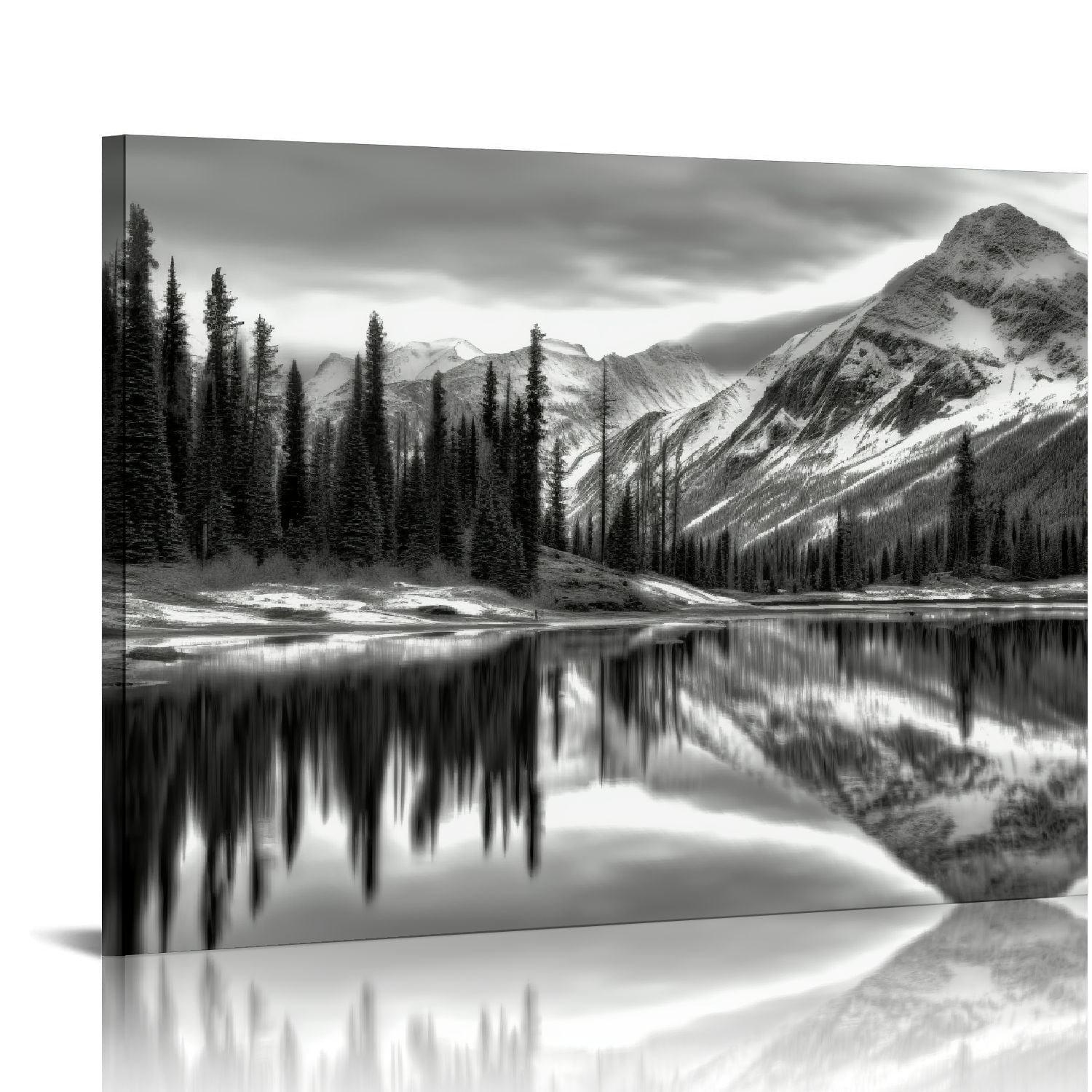 HOMICOZI Canvas Wall Art Black and White Abstract Canada Landscape ...