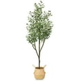 thumbnail image 1 of HOMLUX  6ft Artificial Olive Tree with Woven Seagrass Plant Basket, 1 of 4