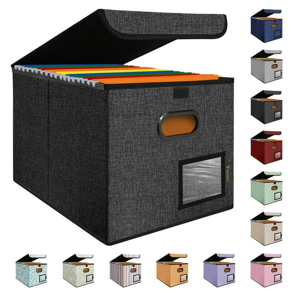 HOMLUX Collapsible File Organizer Box with Lid & Plastic Slide, for Office Document Storage