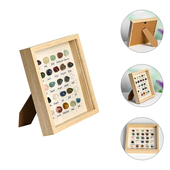 Homoyoyo Natural Sample Set with Fine Texture for Collection and Educational Display