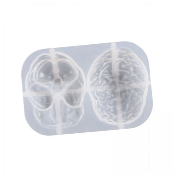 HOMYL 4xOrgans Fondant Model Handmade Reusable Baking Tools Accessories for Pudding Brain 4 Pcs