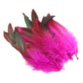 thumbnail image 1 of HOMYL 50 Pieces Feathers for Crafts Chicken Feather for Party Wedding Arrangements Rose Red, 1 of 8