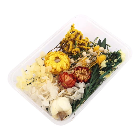 HOMYL Real Dried Flower Pressed Leaves DIY for Epoxy Resin Jewelry Making - Style 4,
