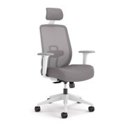 HON Altern Ergonomic Office Chair, Office Desk Computer Chair, Frost