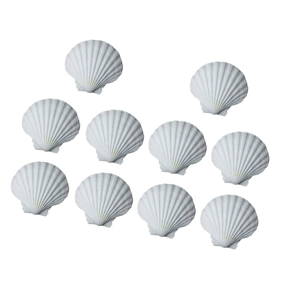 Tizuqe 10pcs DIY White Seashells Perfectly For Handcrafting And Painting Activity