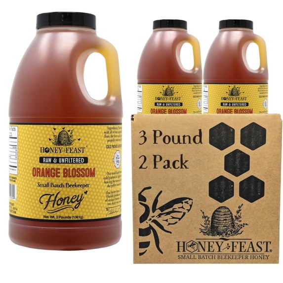 HONEY FEAST Raw Orange Blossom Honey 3 Pounds (Pack of 2), Unfiltered & Pure – Fresh Florida Superfood from American Organic Floral Sources