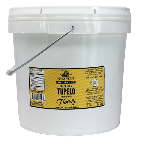 Honey Feast Tupelo Honey 2 Gallons - Authentic Florida Honey from Black Gum Tupelo & Holly Blend, Raw Bulk, Pure from Central Florida Apiary 