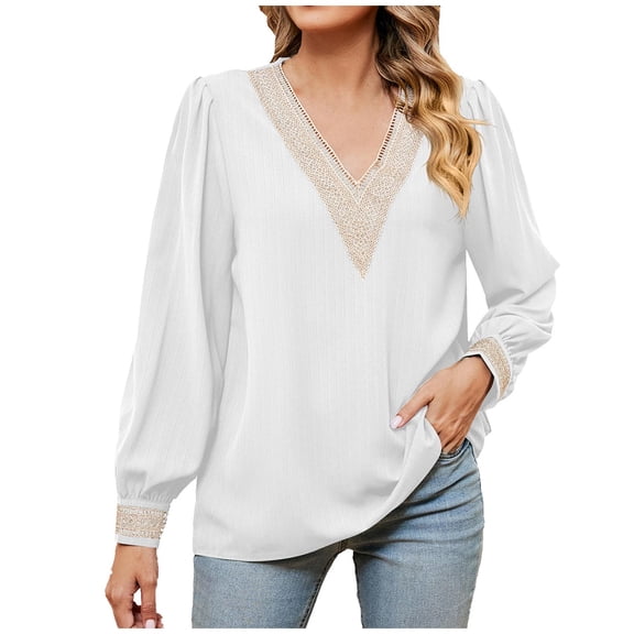 HONHUZH Lace Tops for Women 2025 Trendy Lantern Sleeve Tunic Tops Boho Lace V-Neck Blouse