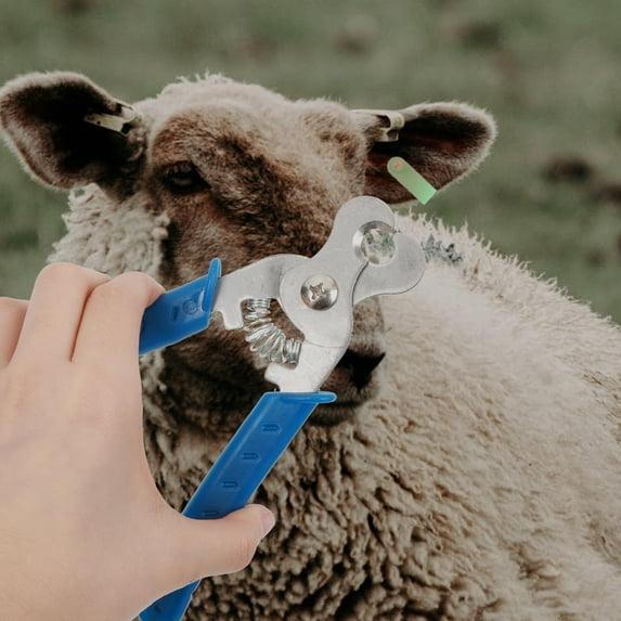 HONITANO 1Pcs Ear Tag Disassembling Plier Assorted Color for Farmers 6.3X1.7X0.4In