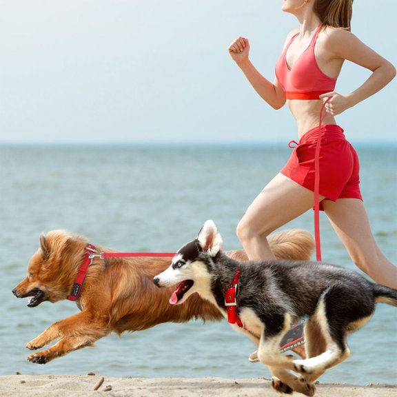 HONITANO Red Three Head Dog Walking Leash Nylon Lightweight Durable Safety Design