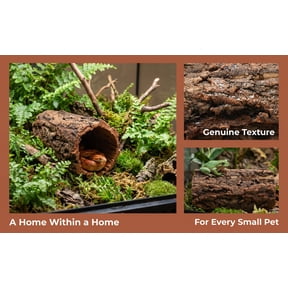 HONITANO reptile hide Natural Tree Bark Look, 12 cm Diameter x 20 cm H Tunnel Cave